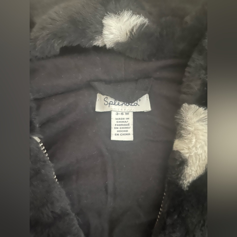 Splendid Jacket - Picture 2 of 4